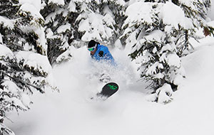 Snowboarder in the Trees at Marmot Basin, Canada