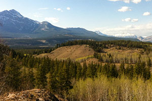 Marmot Basin in the Summer